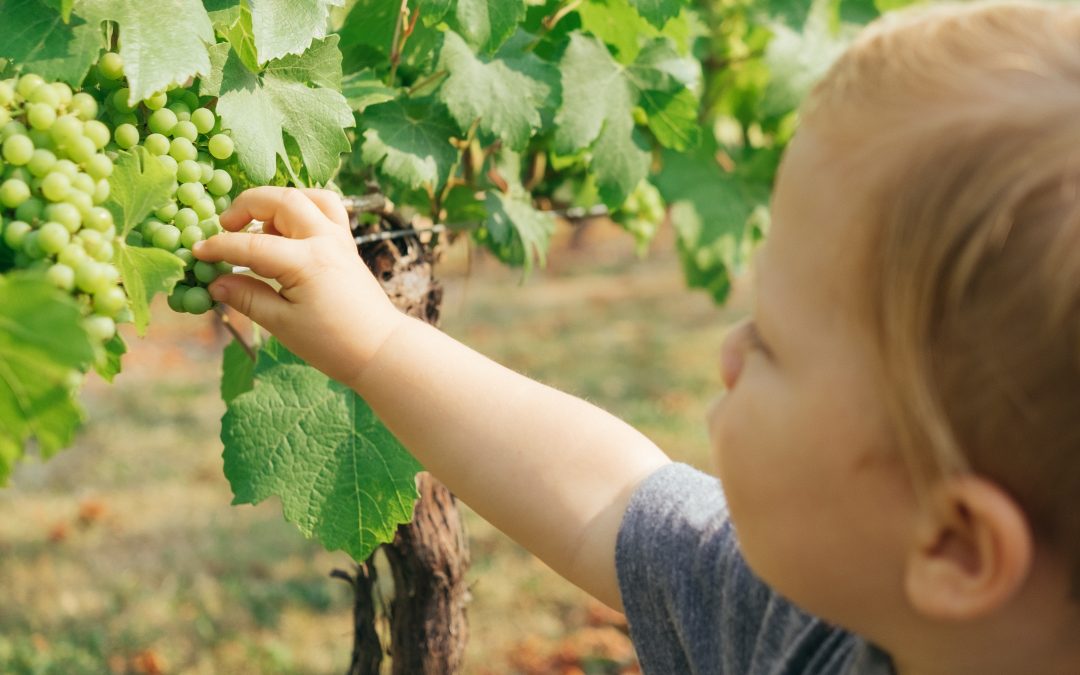 Cómo fomentar buenos hábitos alimenticios en nuestros hijos.