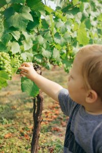 Buenos hábitos alimenticios en los niños